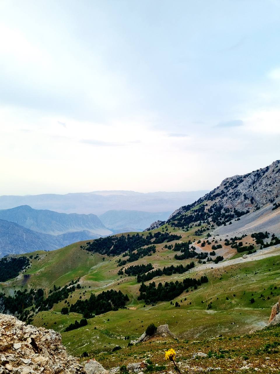 Tog' cho'qqilaridan manzara